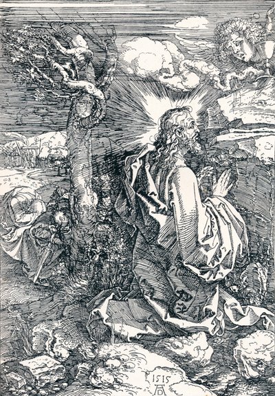 Agónie v zahradě, 1515 1906 od Albrecht Dürer
