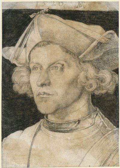 Portrét mladého muže od Albrecht Dürer