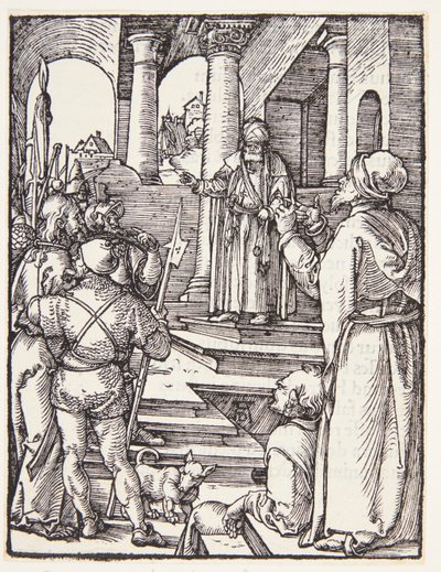  od Albrecht Dürer