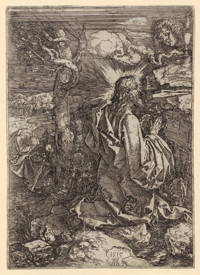  od Albrecht Dürer