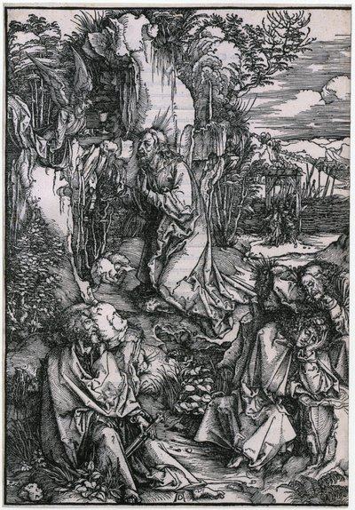  od Albrecht Dürer
