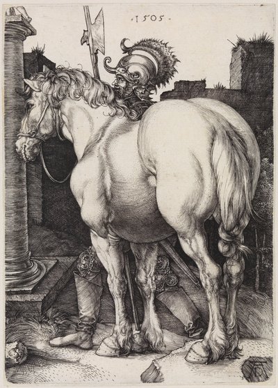  od Albrecht Dürer