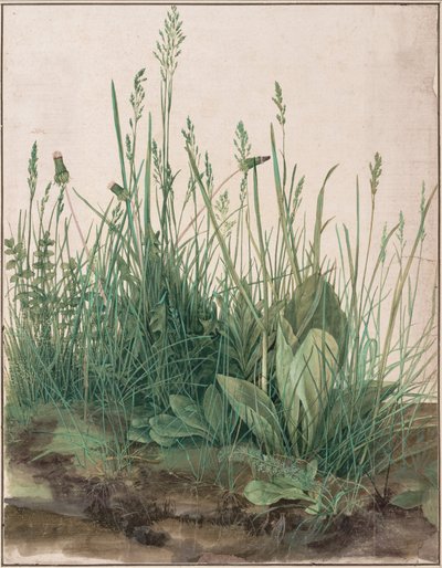 Velký kus trávníku od Albrecht Dürer