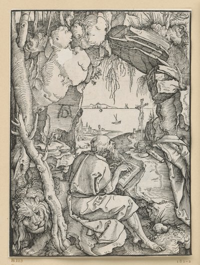 Svatý Jeroným ve skalní jeskyni od Albrecht Dürer