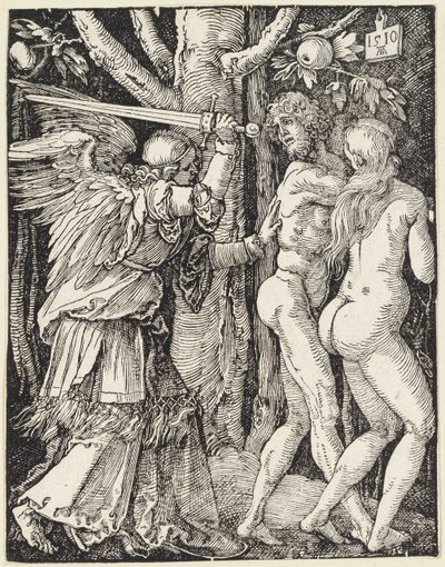  od Albrecht Dürer