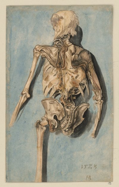  od Albrecht Dürer