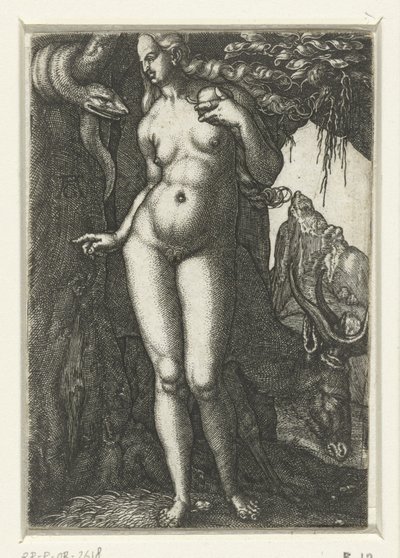 Eva od Albrecht Dürer
