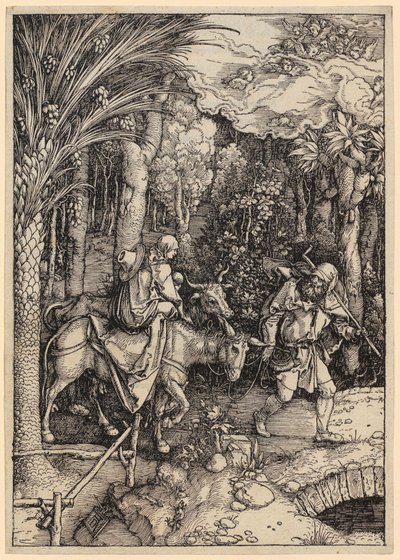  od Albrecht Dürer