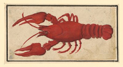  od Albrecht Dürer