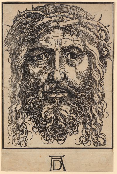 Velká Kristova hlava s trnovou korunou od Albrecht Dürer