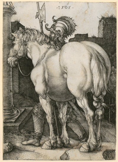 Velký kůň od Albrecht Dürer