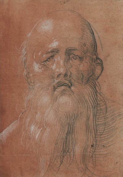 Hlava vousatého muže od Albrecht Dürer