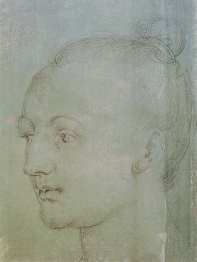 Hlava mladé ženy (černá křída zvýrazněná bílou křídou na zeleném papíře) od Albrecht Dürer