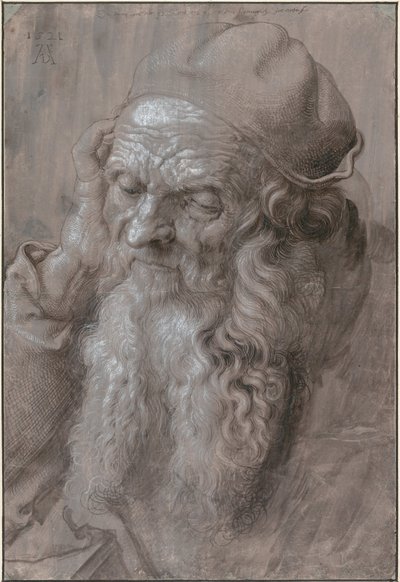 Hlava starého muže od Albrecht Dürer