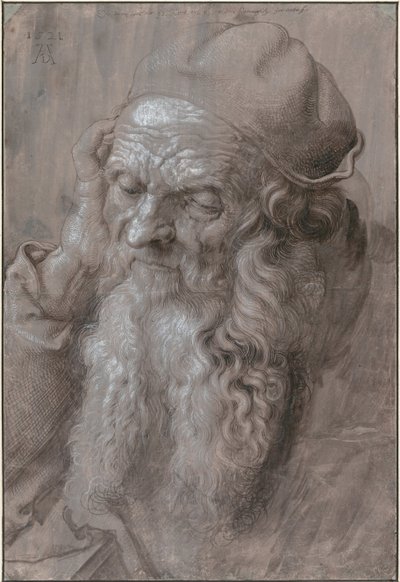 Hlava starého muže, 1521 od Albrecht Dürer