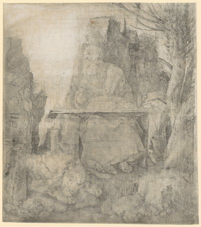Svatý Jeroným vedle vrby od Albrecht Dürer