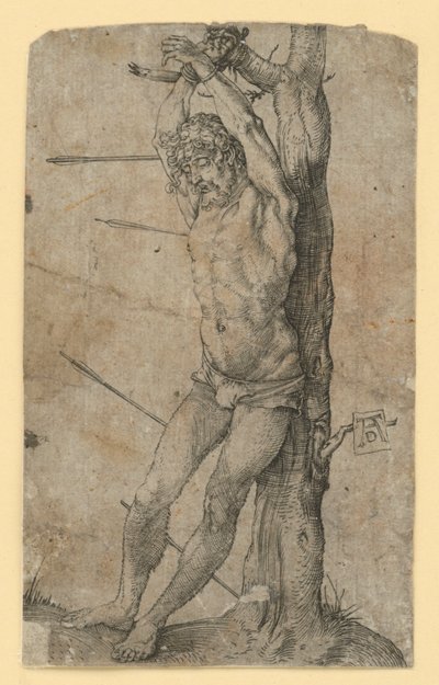  od Albrecht Dürer