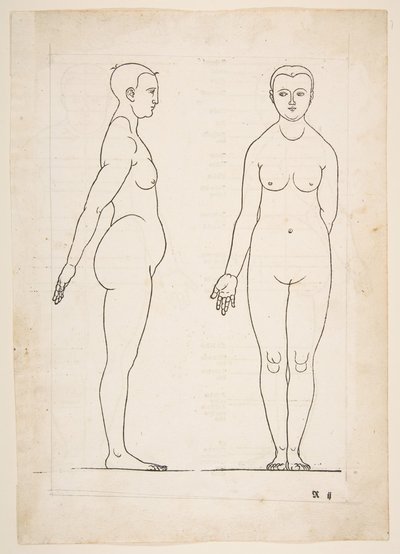 Ilustrace z Dürerových Čtyř knih o lidské proporci, Norimberk, 1528.n.d. od Albrecht Dürer