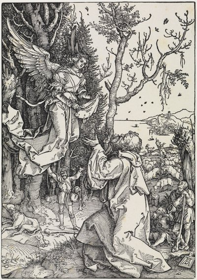 Jáchym na poli od Albrecht Dürer