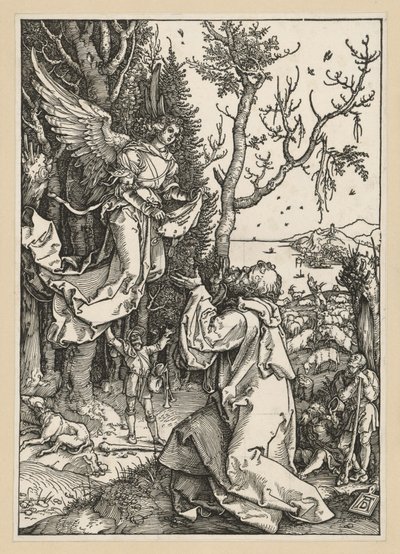 Jáchym a anděl (Život Panny Marie) od Albrecht Dürer