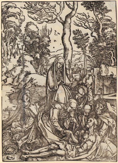  od Albrecht Dürer