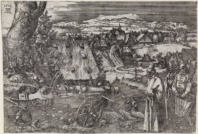 Krajina s dělem (Velké dělo; Dělo) od Albrecht Dürer