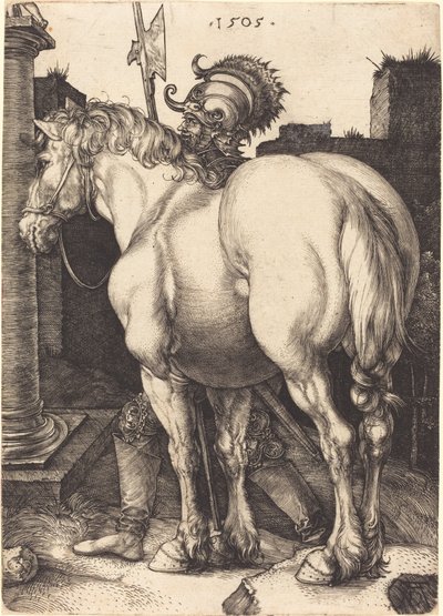 Velký kůň od Albrecht Dürer