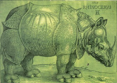 Latinsky:  Rhinocerus Nosorožec od Albrecht Dürer