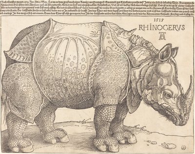 Latinsky:  Rhinocerus Nosorožec od Albrecht Dürer