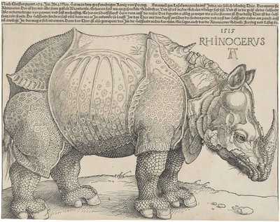Latinsky:  Rhinocerus Nosorožec od Albrecht Dürer