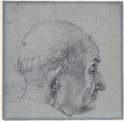 Mužská hlava z profilu od Albrecht Dürer