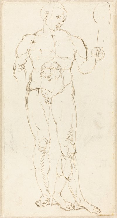 Mužský akt drží zrcadlo [recto] od Albrecht Dürer