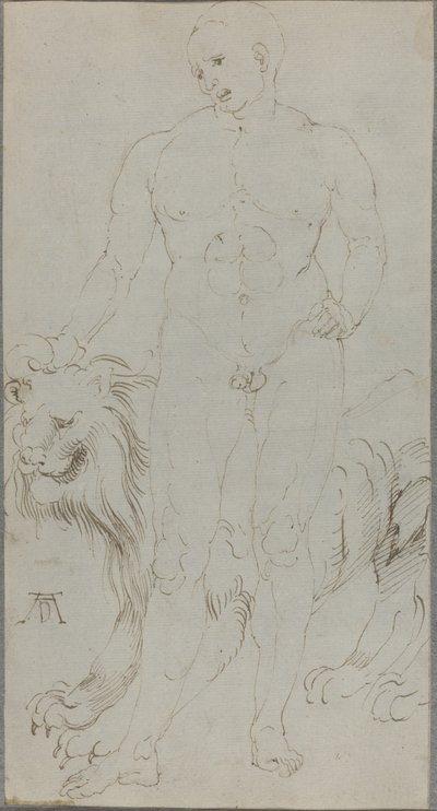 Mužský akt se lvem [verso] od Albrecht Dürer