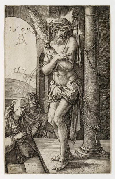 Bolestný muž od Albrecht Dürer