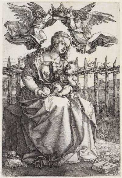  od Albrecht Dürer
