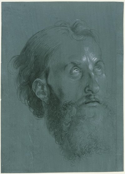  od Albrecht Dürer