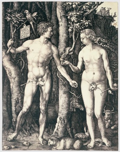 Prvotní hřích od Albrecht Dürer