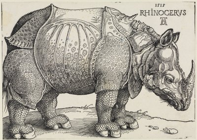 Rhinocerus (Nosorožec) od Albrecht Dürer