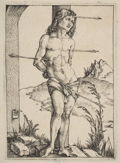  od Albrecht Dürer