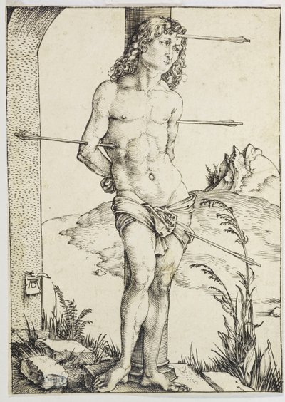  od Albrecht Dürer