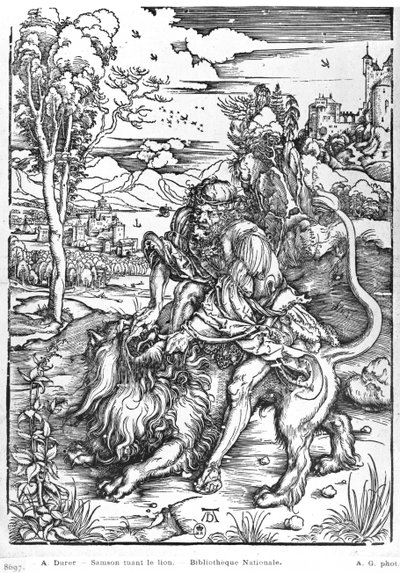 Samson zabíjející lva, kolem 1496-98 od Albrecht Dürer