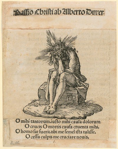  od Albrecht Dürer
