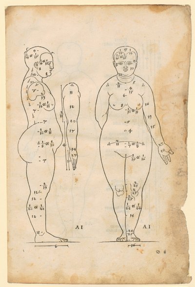  od Albrecht Dürer