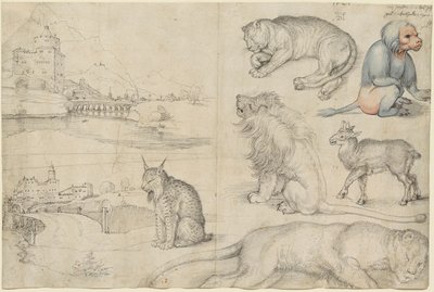 Náčrtky zvířat a krajiny, 1521. od Albrecht Dürer