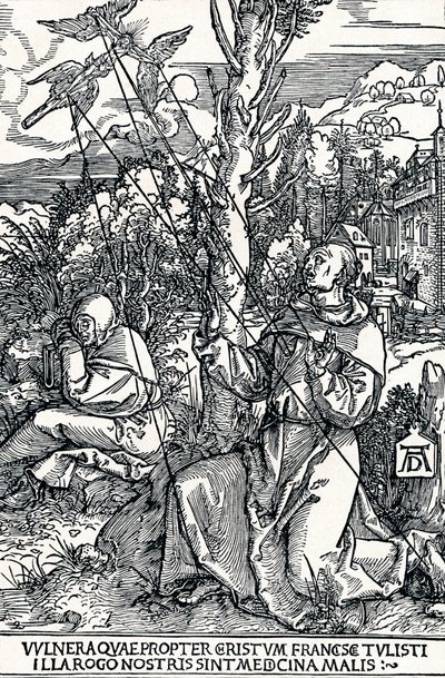 Svatý František přijímající stigmata, 1504 1906 od Albrecht Dürer