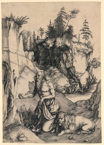Svatý Jeroným v Pokání od Albrecht Dürer