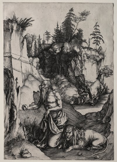 Svatý Jeroným v Pokání od Albrecht Dürer