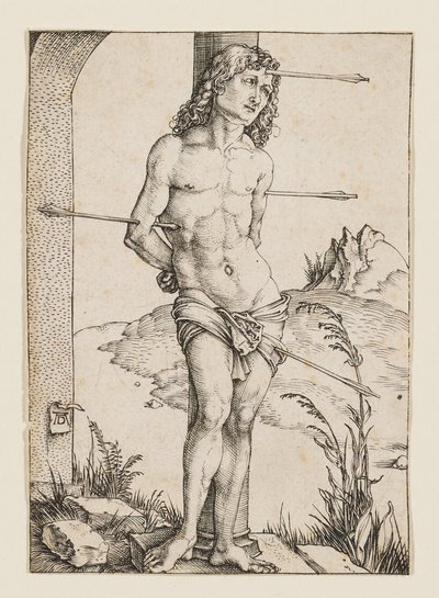  od Albrecht Dürer