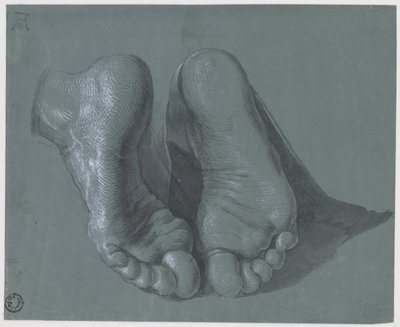 Studie dvou nohou od Albrecht Dürer