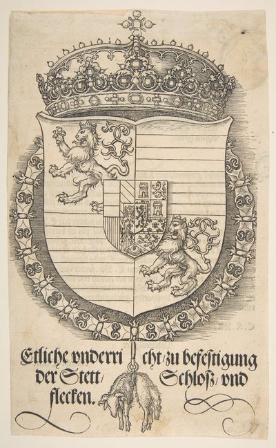 Zbraně Ferdinanda I., krále uherského a českého.n.d. od Albrecht Dürer